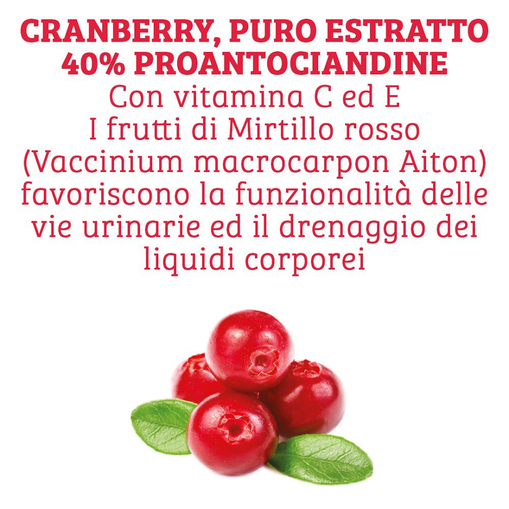 Cranberry-Extrakt mit 40% Proanthocyanidinen, Vitamin C und E zur Unterstützung der Harnwege.