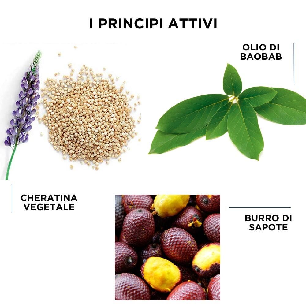 Illustration des ingrédients : kératine végétale, huile de baobab et beurre de sapote. Ingrédients de soin capillaire.