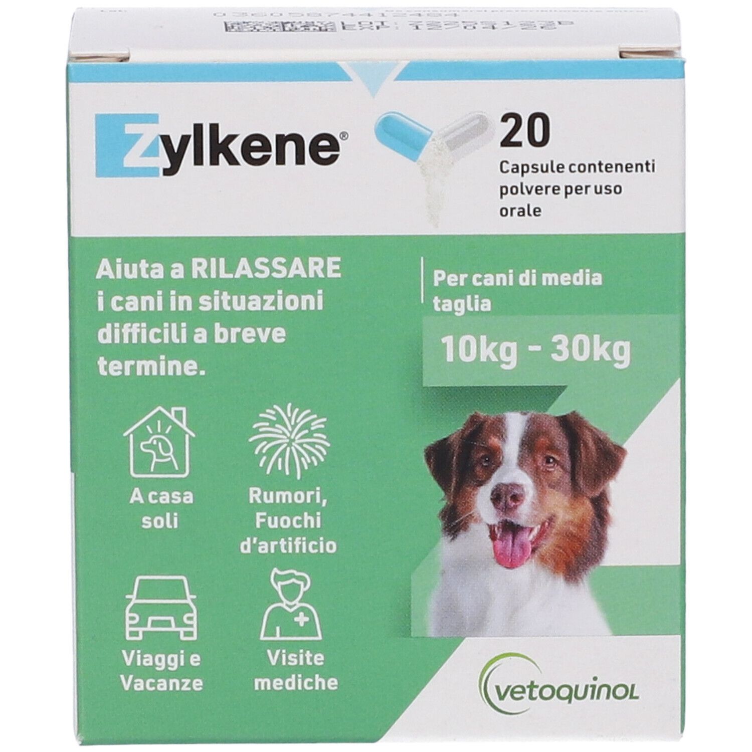 Vorderseite der Zylkène-Kapsel-Schachtel. Aufschrift: 20 Kapseln. Abbildung eines Hundes. Text in italienischer Sprache.