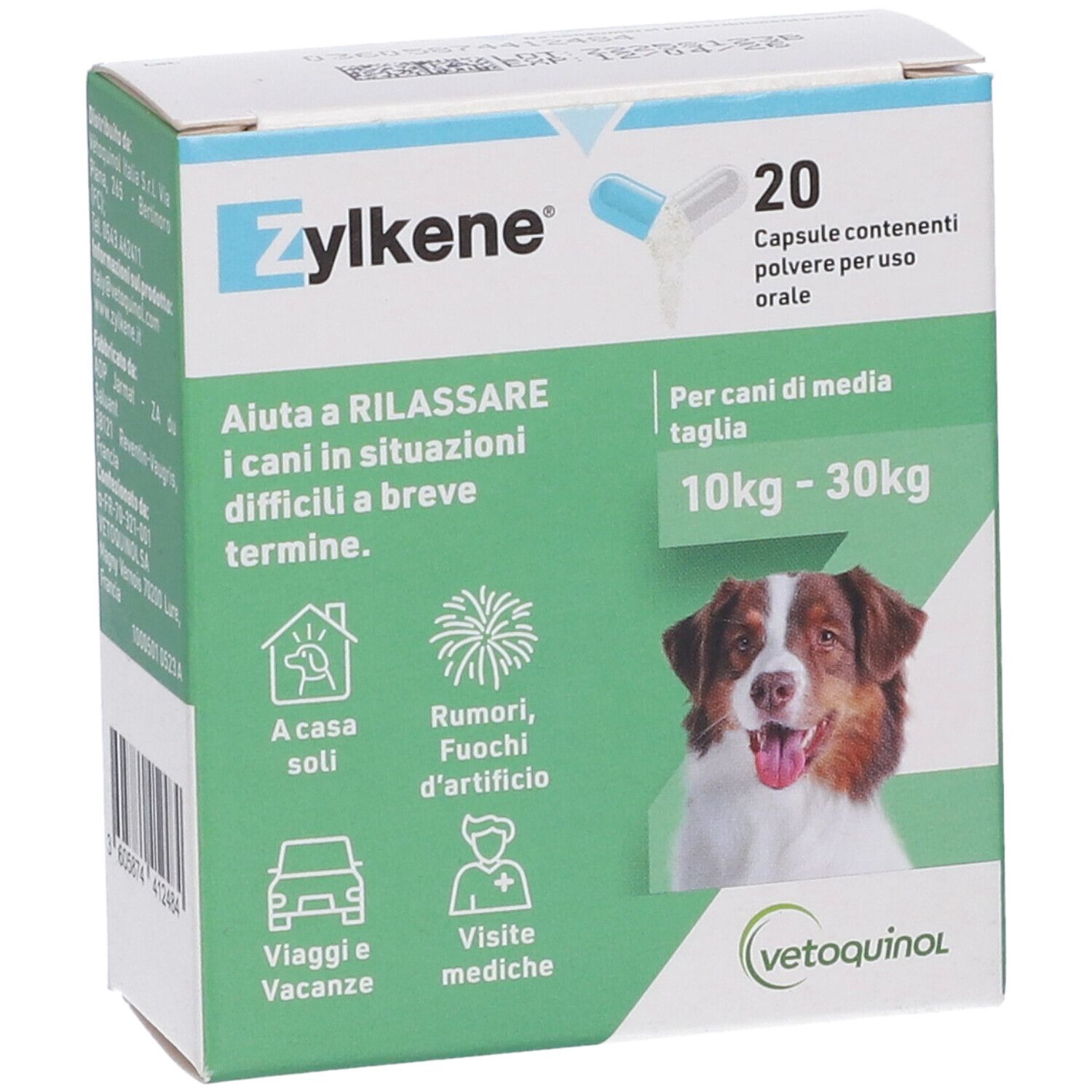 Vorderseite der Zylkène-Kapsel-Schachtel. Aufschrift: 20 Kapseln. Abbildung eines Hundes. Text in italienischer Sprache.