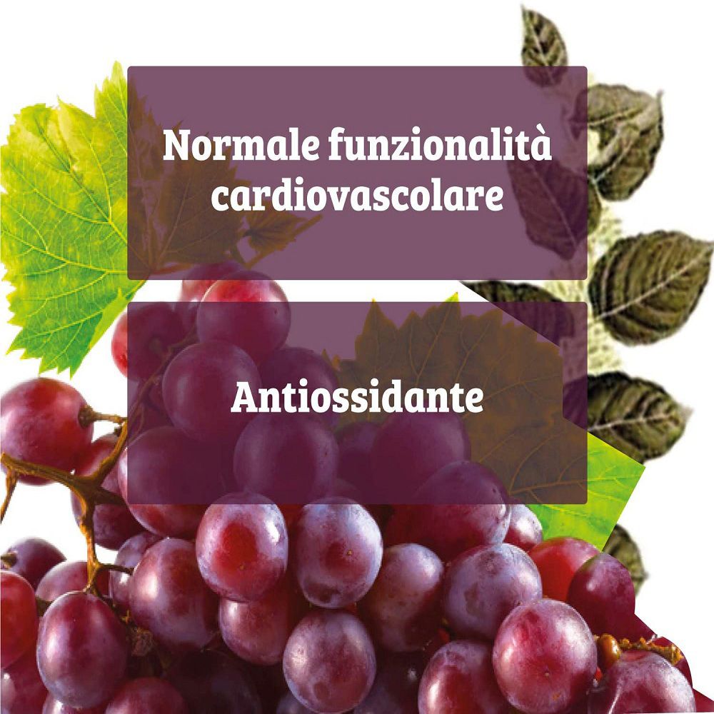 Seitenansicht einer Flasche mit 60 Kapseln Resveratrol PLUS, mit detaillierten Inhaltsstoffen.