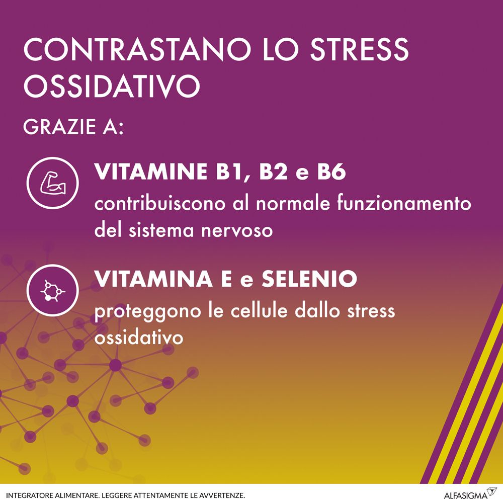 Graphique avec texte. Informations ALAnerv ON. Vitamines B1, B2, B6, E et sélénium. Contre le stress oxydatif.