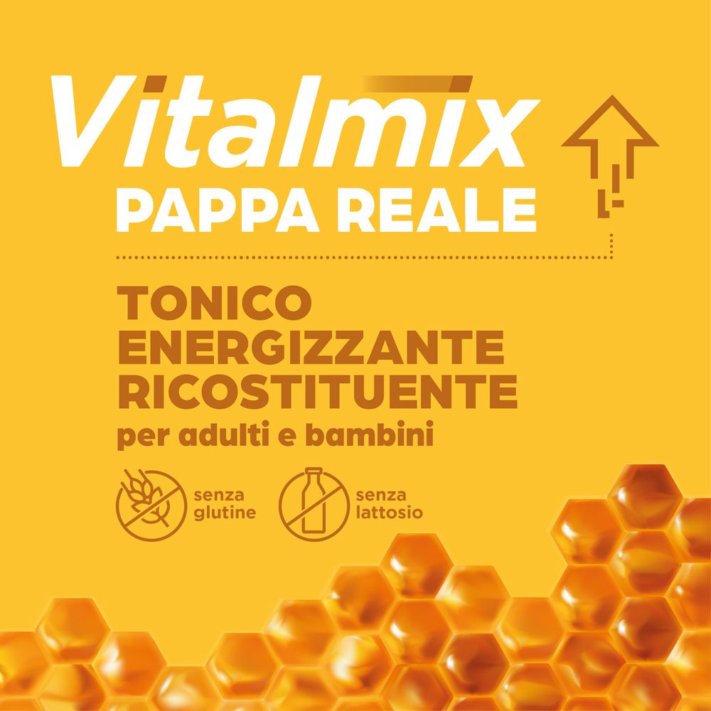 Nahaufnahme der Vitalmix Pappa Reale-Schachtel. Text: Tonikum, Energie, für Erwachsene und Kinder. Ohne Gluten, Laktose.