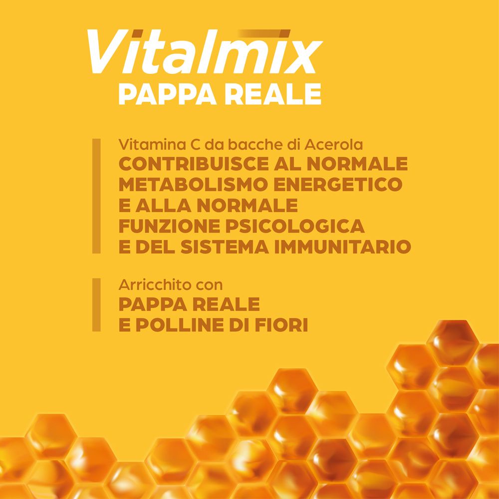 Nahaufnahme der Vitalmix Pappa Reale-Schachtel. Text: Vitamin C, Energie, Immunsystem. Mit Gelée Royale und Pollen.