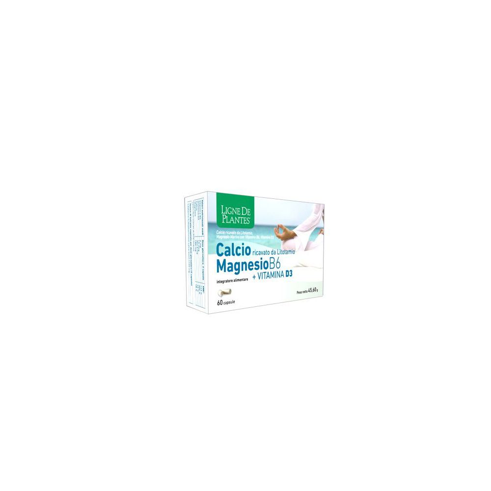 Karton mit Produktaufdruck. Aufschrift: Calcio Magnesio B6 + Vitamina D3. 60 Kapseln.