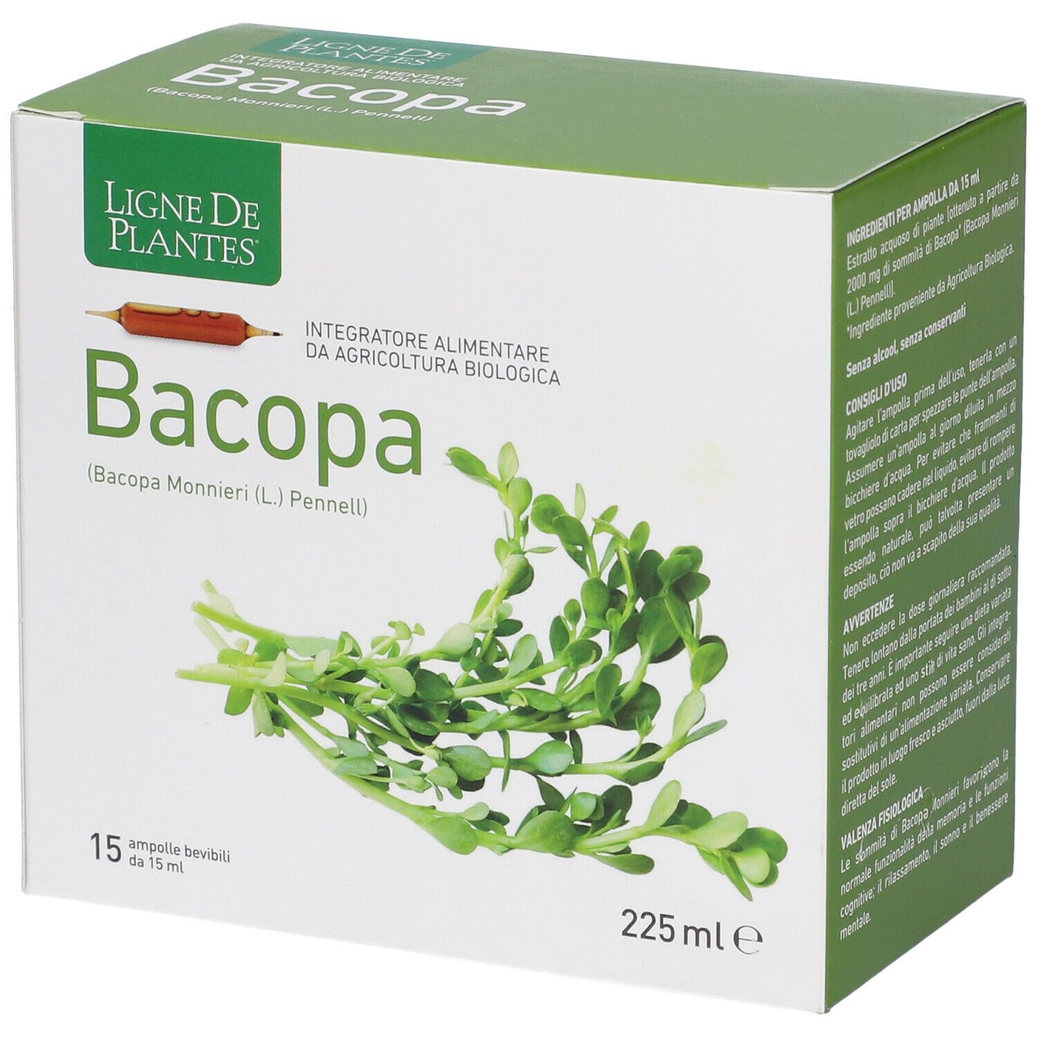 Boîte de Bacopa. Inscription "Bacopa" et "15 ampoules". Illustration de plantes.