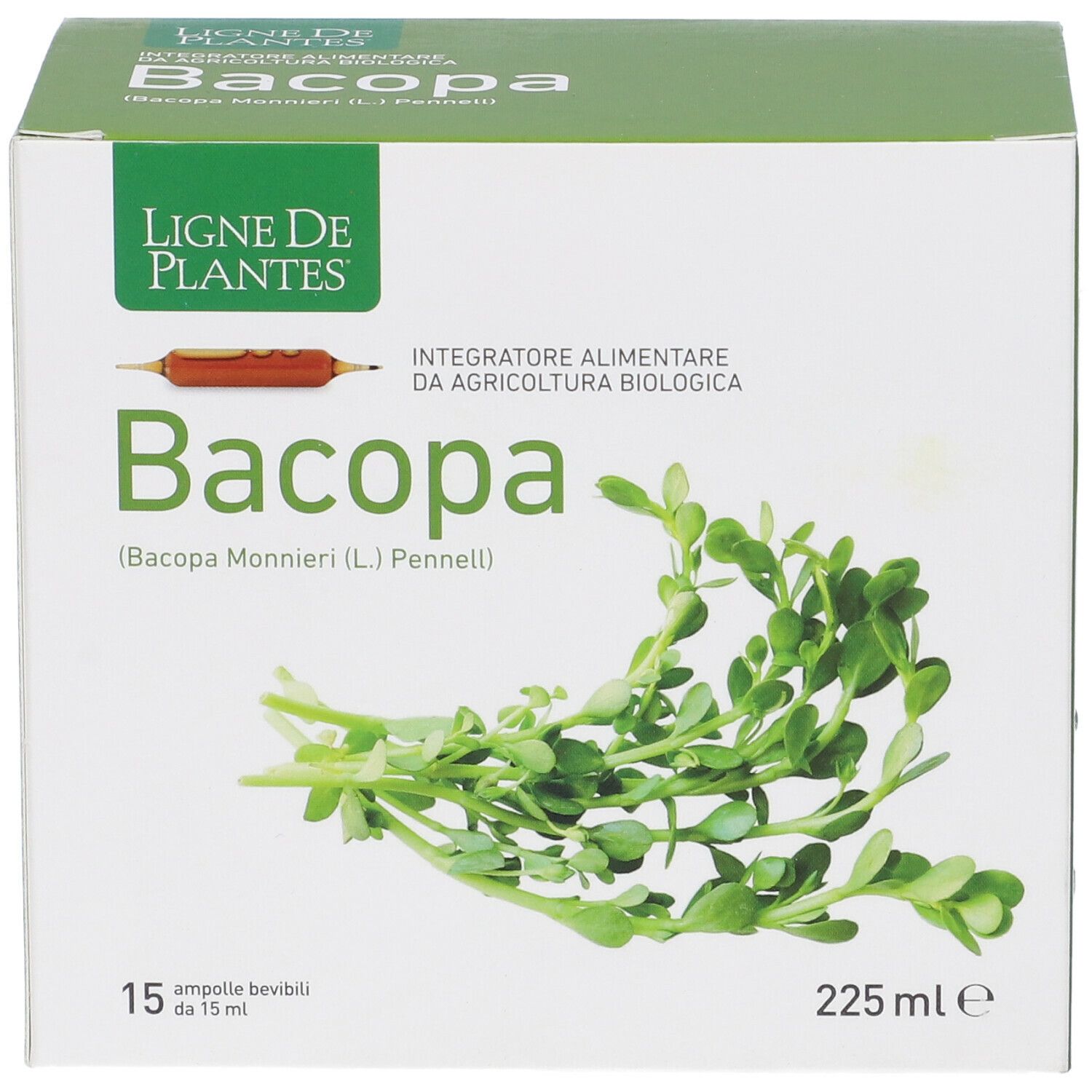 Boîte de Bacopa. Inscription "Bacopa" et "15 ampoules". Illustration de plantes.