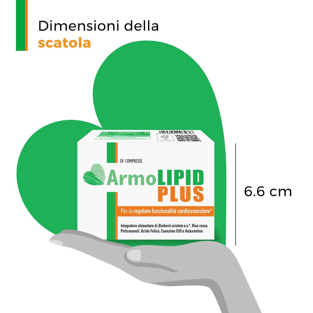 Produktverpackung in einer Hand. Aufschrift: ArmoLIPID PLUS. Abmessungen der Schachtel: 6,6 cm.