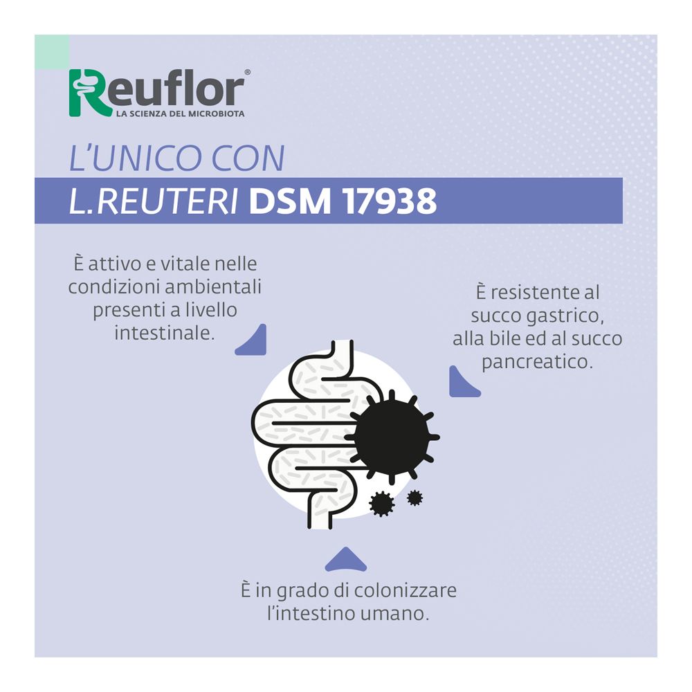 Reuflor D3 800 avec L. reuteri DSM 17938, actif dans l'intestin.