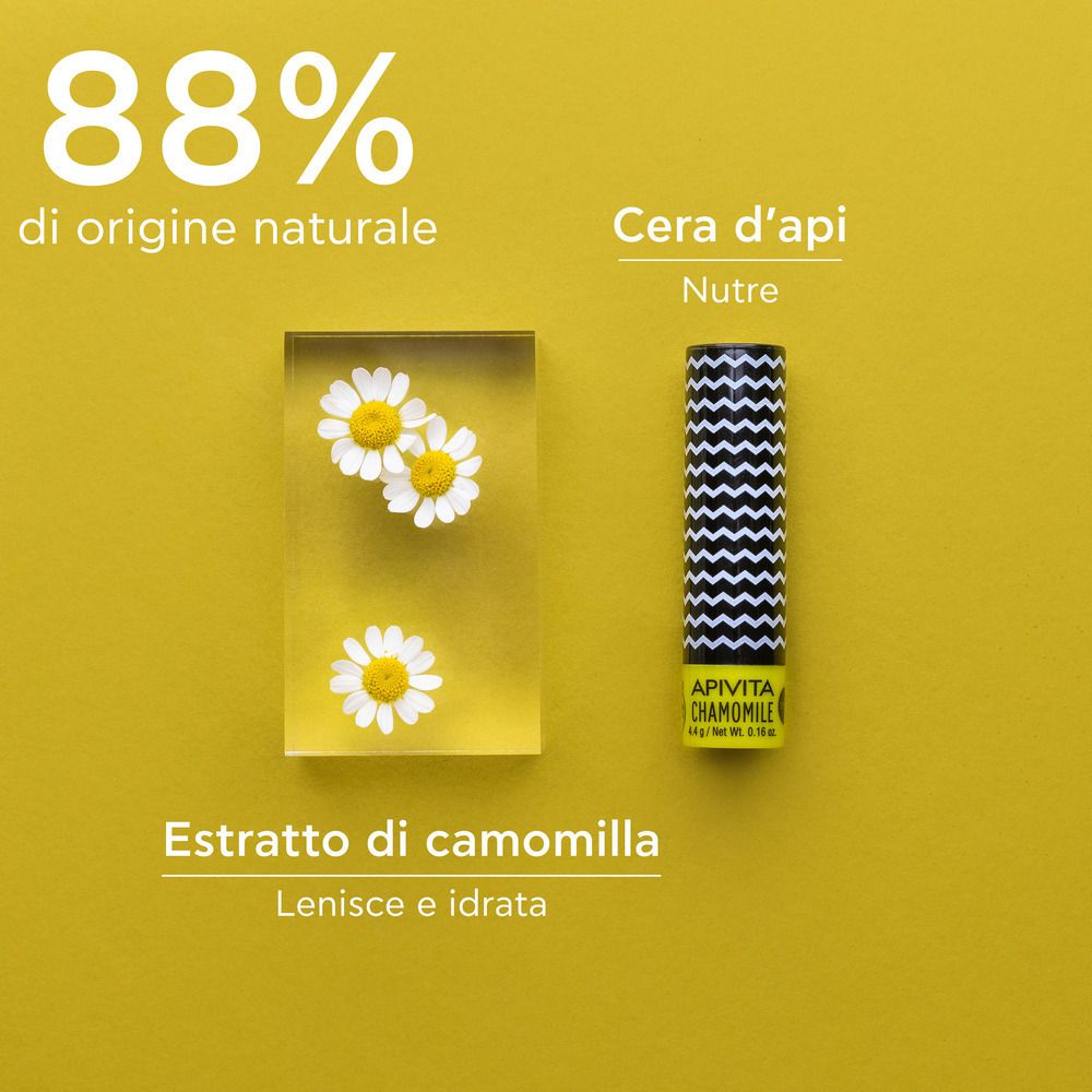 Produkt-Arrangement. Lippenbalsam, Kamillenblüten in Gel, Text: 88% natürlich, Bienenwachs, Kamillenextrakt.
