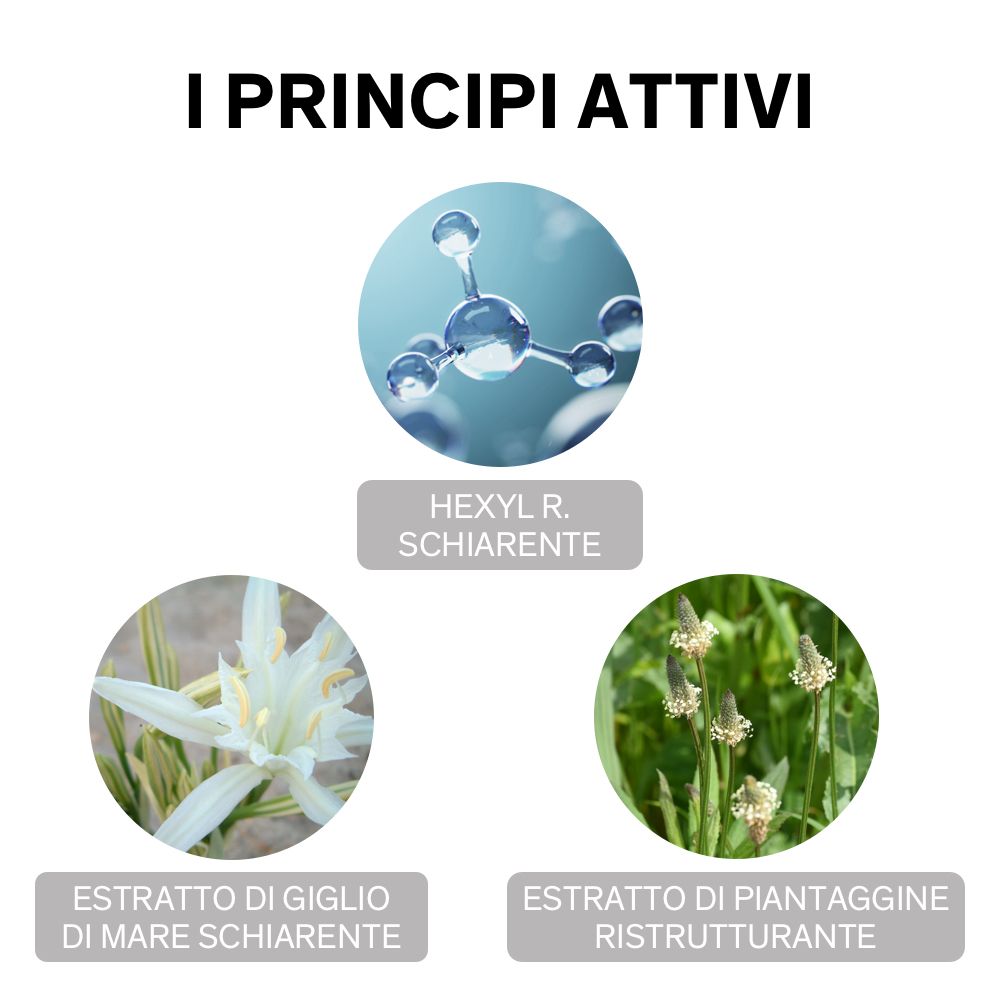 Drei Kreise mit Inhaltsstoffen: Hexyl R. Schiarente, Estratto di Giglio di Mare Schiarente, Estratto di Piantaggine Ristrutturante.
