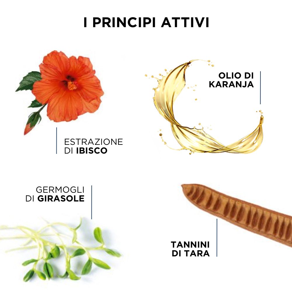 Grafik mit Inhaltsstoffen: Hibiskusblüte, Öl, Sonnenblumenkeime, Taratannine.