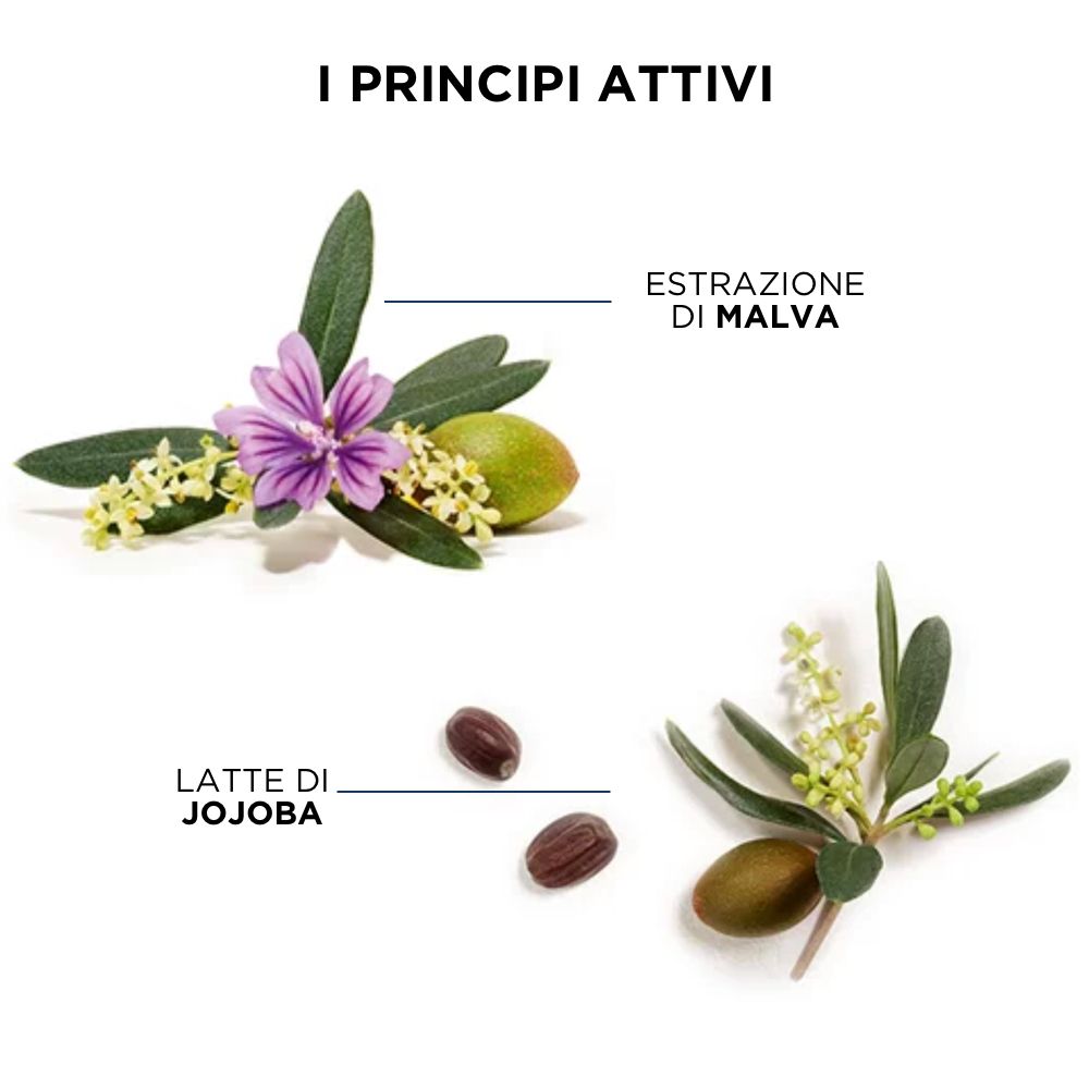 PHYTOJOBA Gelée de soin