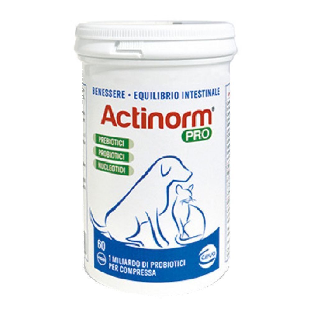 Weiße Dose mit Deckel. Aufschrift Actinorm Pro, Logo Hund und Katze. 60 Tabletten. Text in italienischer Sprache.