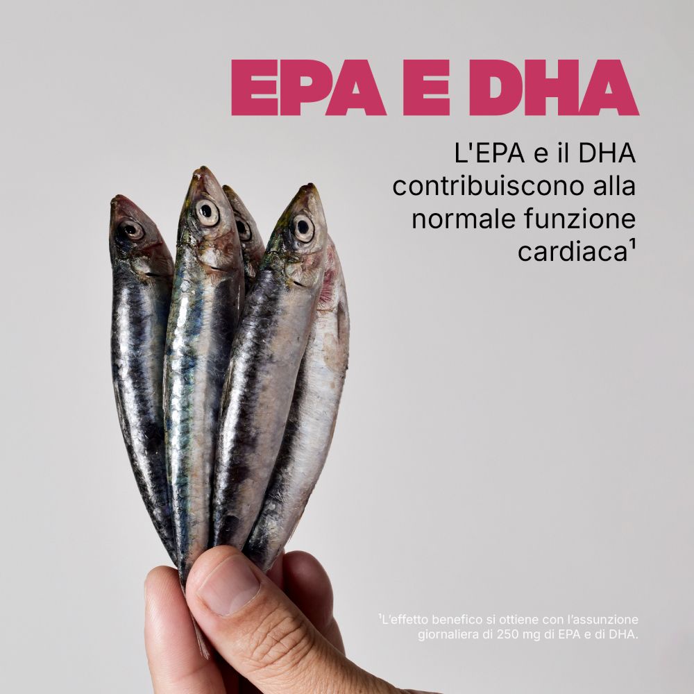 Main tenant des sardines. Texte : EPA et DHA. Texte sur la fonction cardiaque normale.