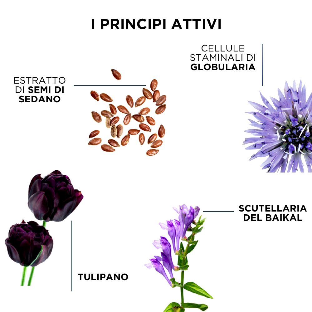 PHYTOVATHRIX KUR