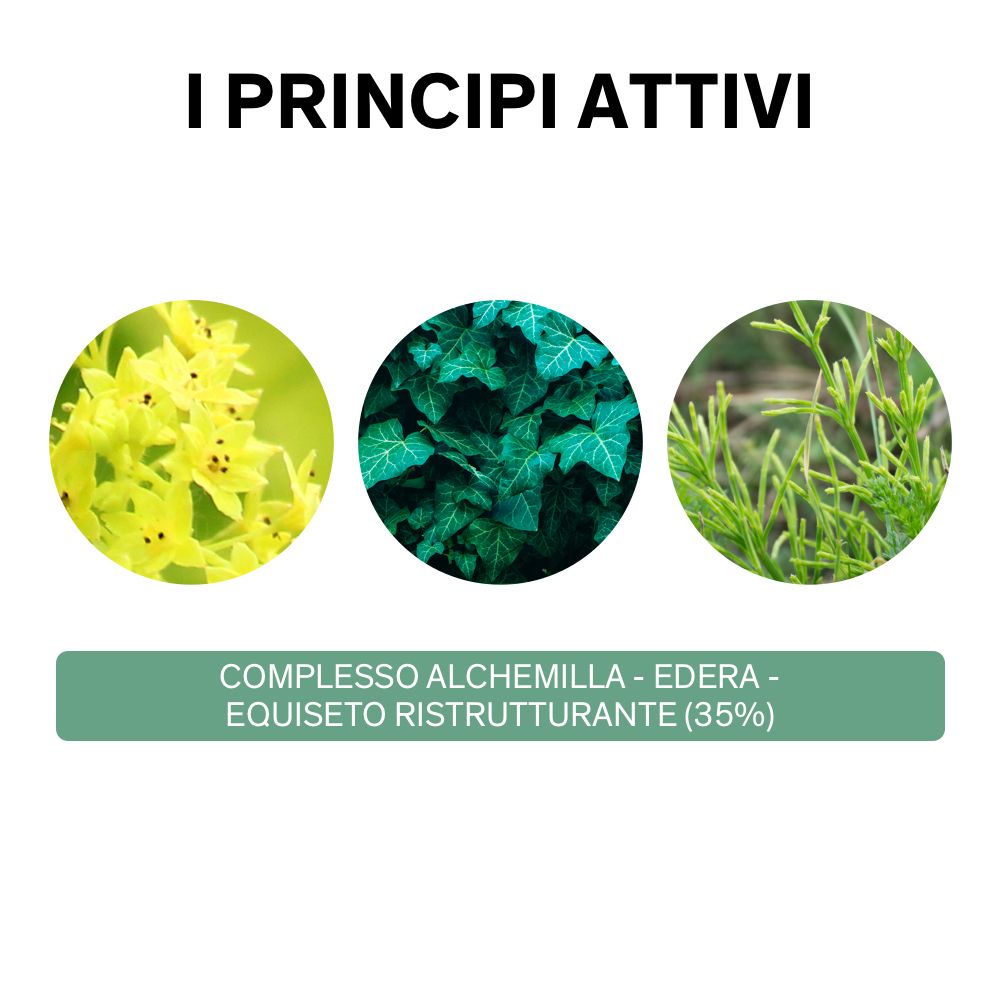 LIERAC Phytolastil Gel