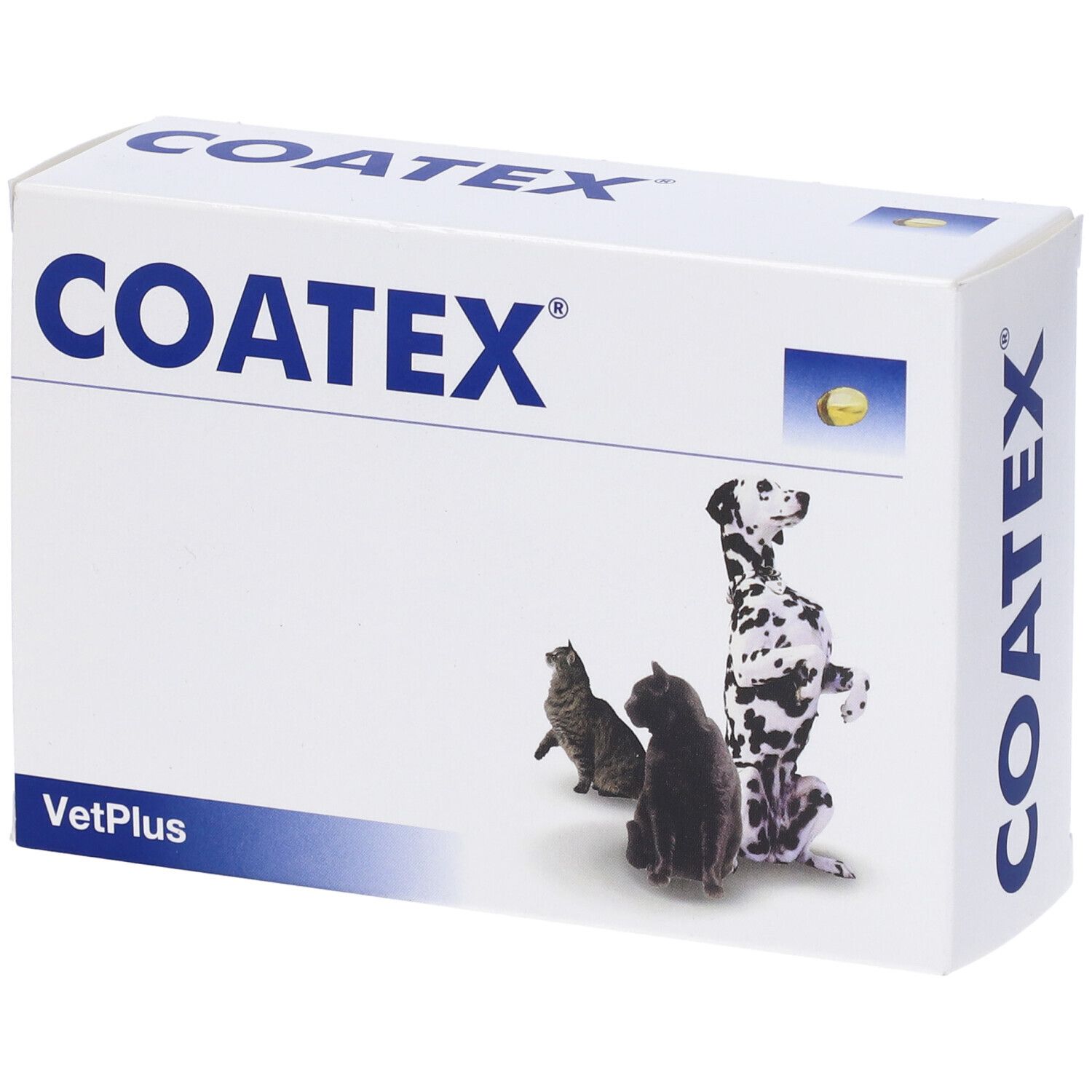 Weiße Schachtel mit blauer Aufschrift COATEX. Abgebildet sind Katze, Hund und eine Kapsel. VetPlus Logo.