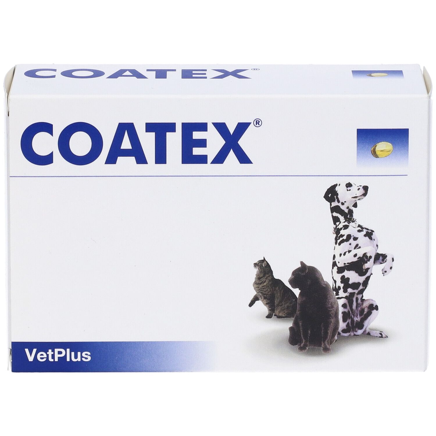Weiße Schachtel mit blauer Aufschrift COATEX. Abgebildet sind Katze, Hund und eine Kapsel. VetPlus Logo.