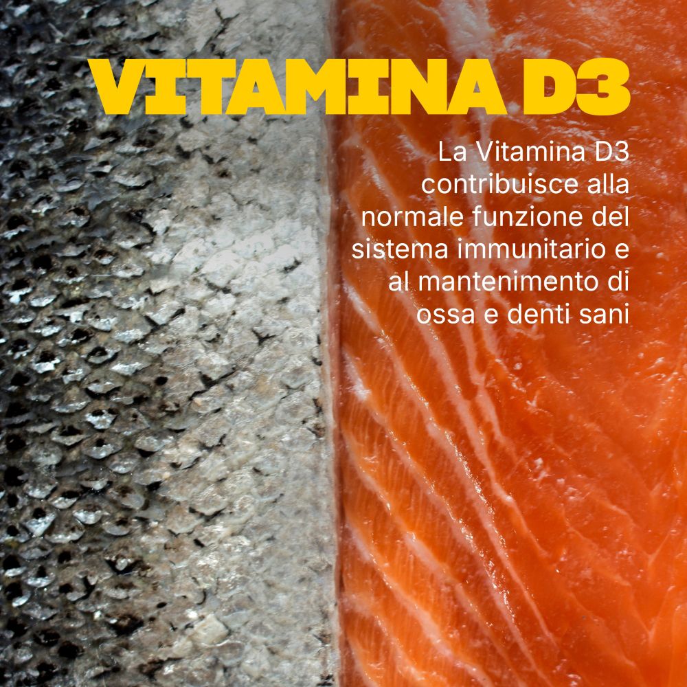 Lachsfilet. Text: Vitamin D3 trägt zur normalen Immunfunktion und zur Erhaltung gesunder Knochen bei.