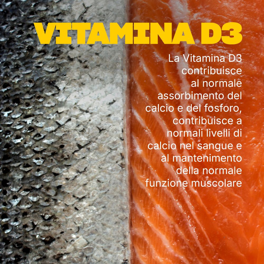 Lachsfilet. Text: Vitamin D3 trägt zur normalen Calcium- und Muskelfunktion bei.