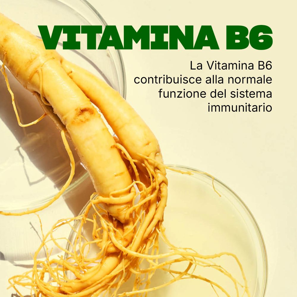 Zwei Wurzeln in einer Glasschale. Text: La Vitamina B6 contribuisce alla normale funzione del sistema immunitario.