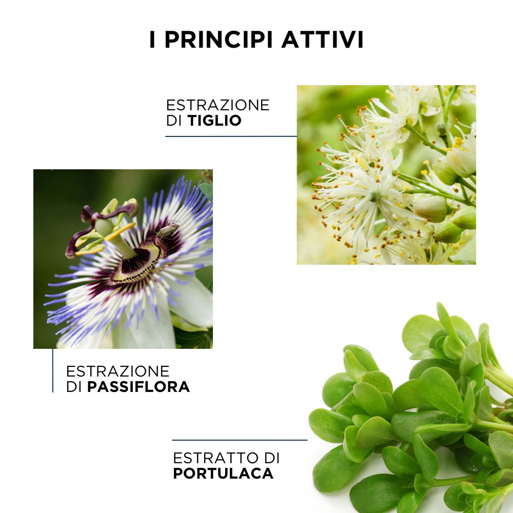 Drei Bilder: Lindenblüten, Passionsblume und Portulak. Text: I PRINCIPI ATTIVI.