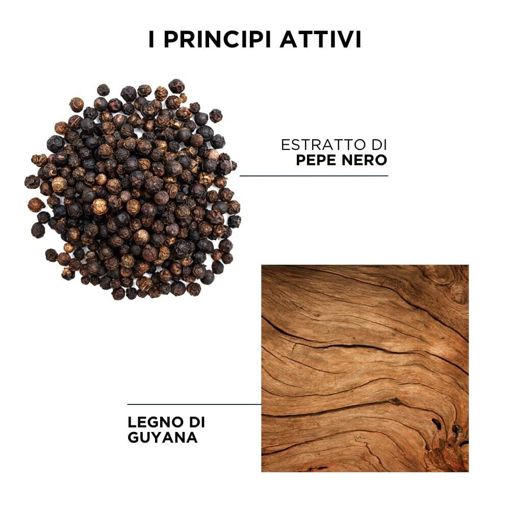 PHYTOSQUAM-Shampoo