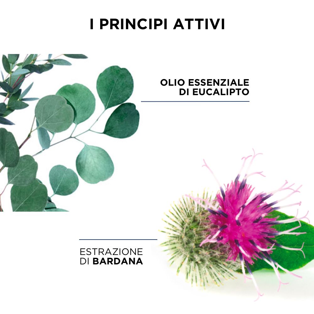 PHYTODETOX Reinigendes Shampoo