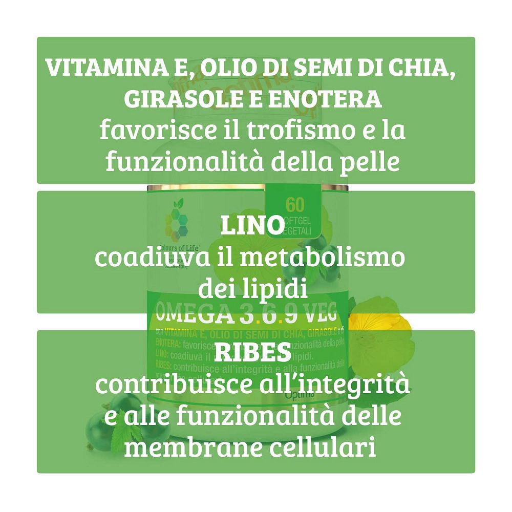 Detailansicht der Inhaltsstoffe und Vorteile von Omega 3.6.9 Veg.