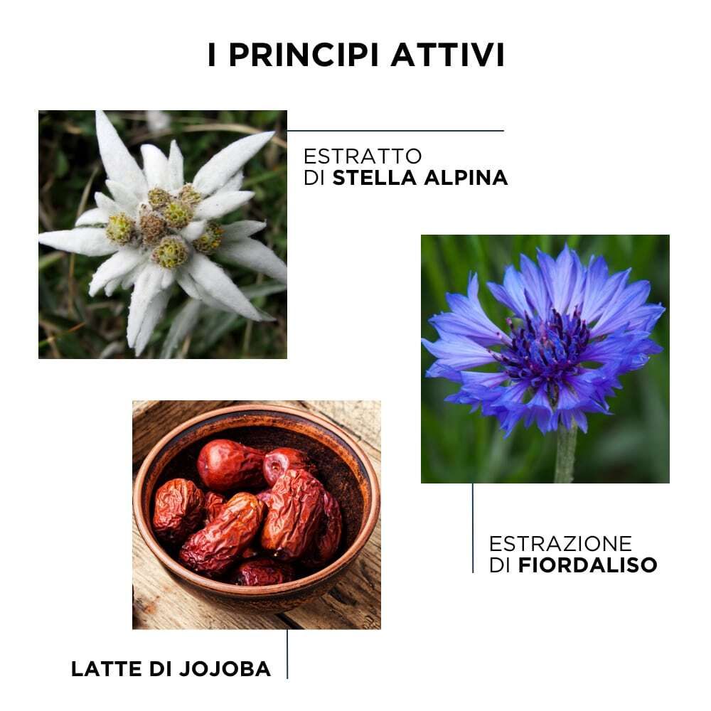 Trois illustrations d'ingrédients : Edelweiss, bleuet et lait de jojoba, avec légendes italiennes.