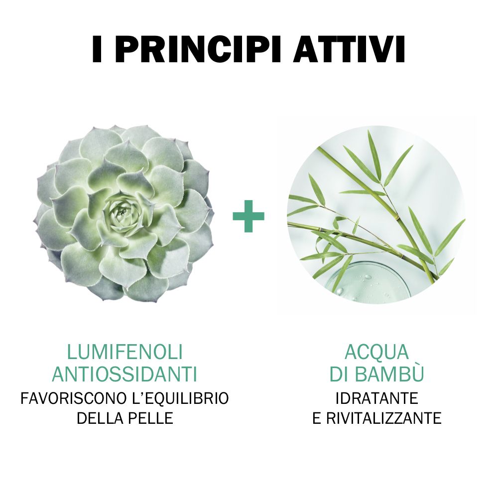 Illustrationen von Inhaltsstoffen: Lumifenoli Antioxidantien und Bambuswasser. Text: I PRINCIPI ATTIVI.