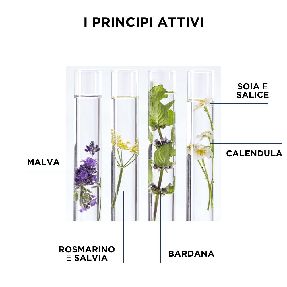 Vier Reagenzgläser mit Pflanzen: Malve, Rosmarin, Salbei, Bardane, Soja, Salice, Calendula.