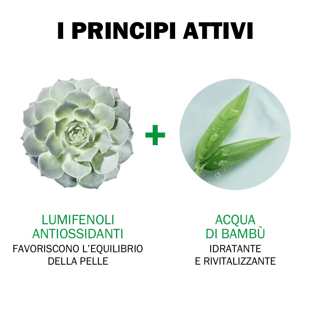 Grafik: Lumifenoli Antioxidant, Wasser aus Bambus. Text: Favoriscono l'equilibrio della pelle, Idratante e rivitalizzante.