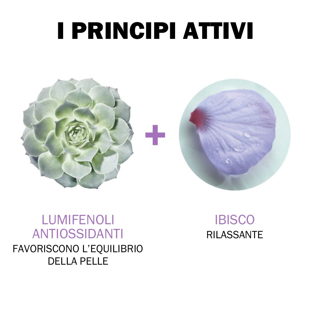 Texte: I PRINCIPI ATTIVI. Illustrations de Lumifenoli Antioxydants et Ibiscus Rilassante.