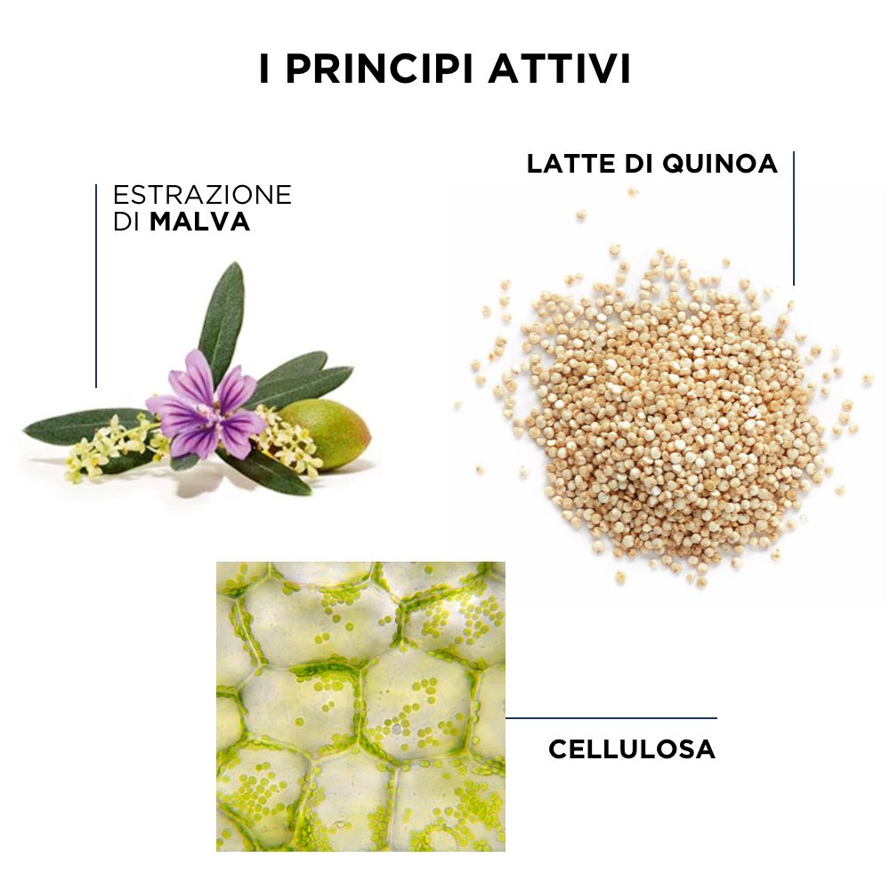 PHYTOSPECIFIC Curl Legend Spray belebt Locken