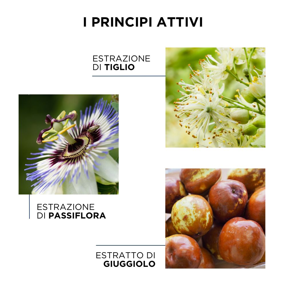 PHYTOAPAISANT Beruhigendes Anti-Juckreiz-Serum