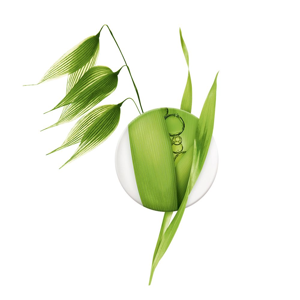 Grüne Pflanze mit weißen Blättern. Auf weißem Hintergrund. Oben links: A-DERMA Logo.