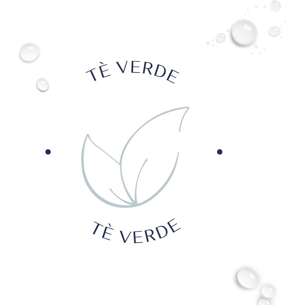 Grafik mit zwei Teeblättern. Text: Tè Verde.