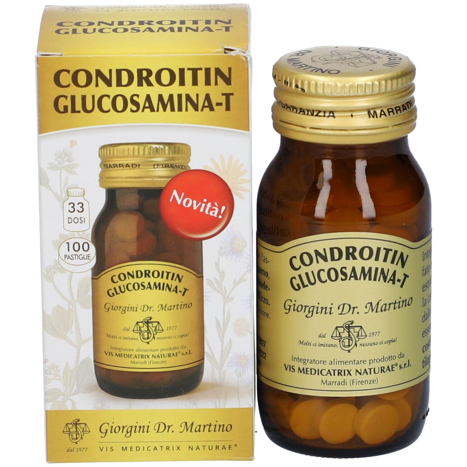 Chondroitin Glucosamin-T 100 Tabletten