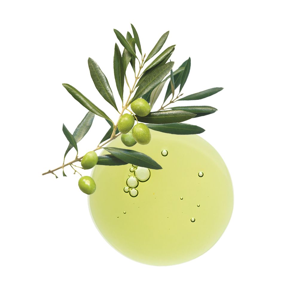 KLORANE Shampooing à l'Olivier BIO
