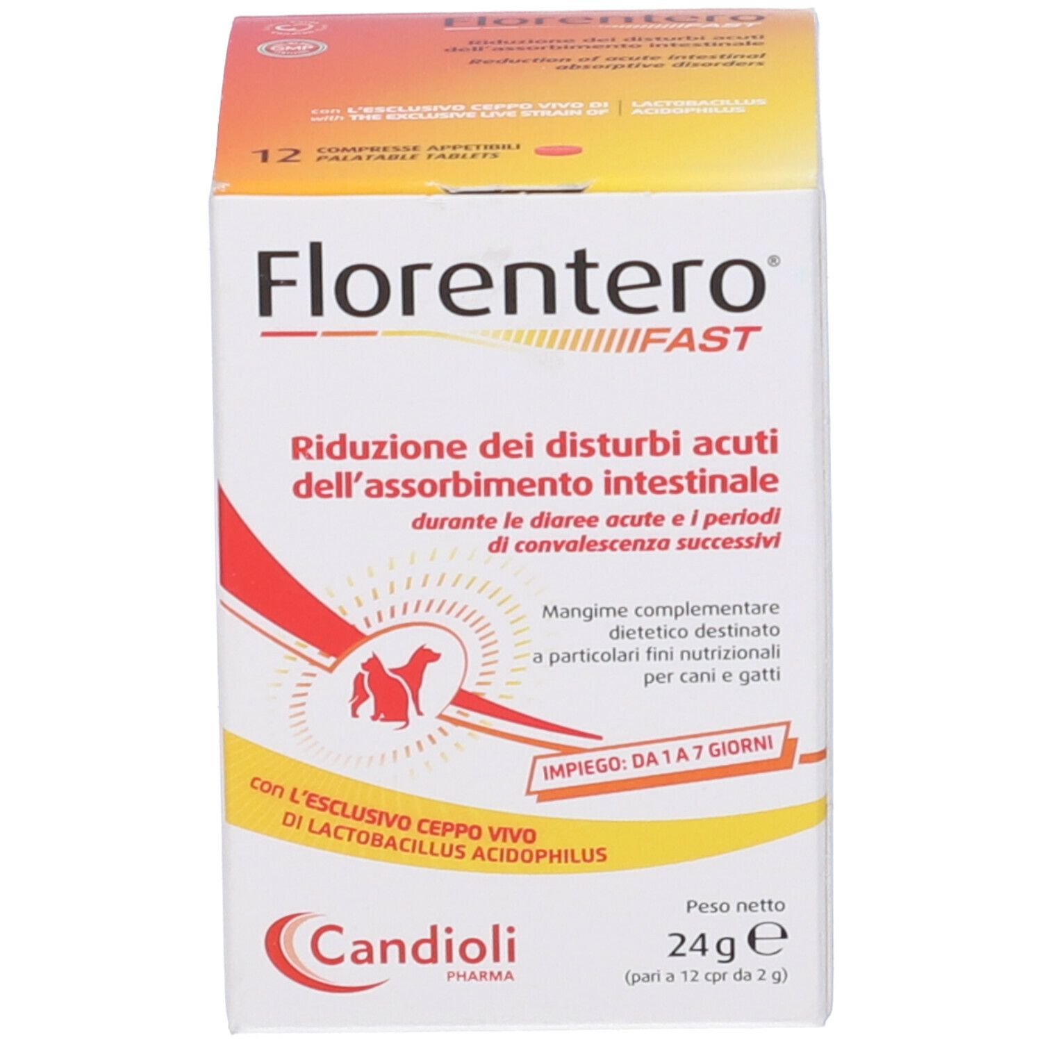 Karton mit Produktaufdrucken. Text: Florentero FAST, Reduzierung der akuten intestinalen Absorptionsstörungen. Marke Candioli Pharma.