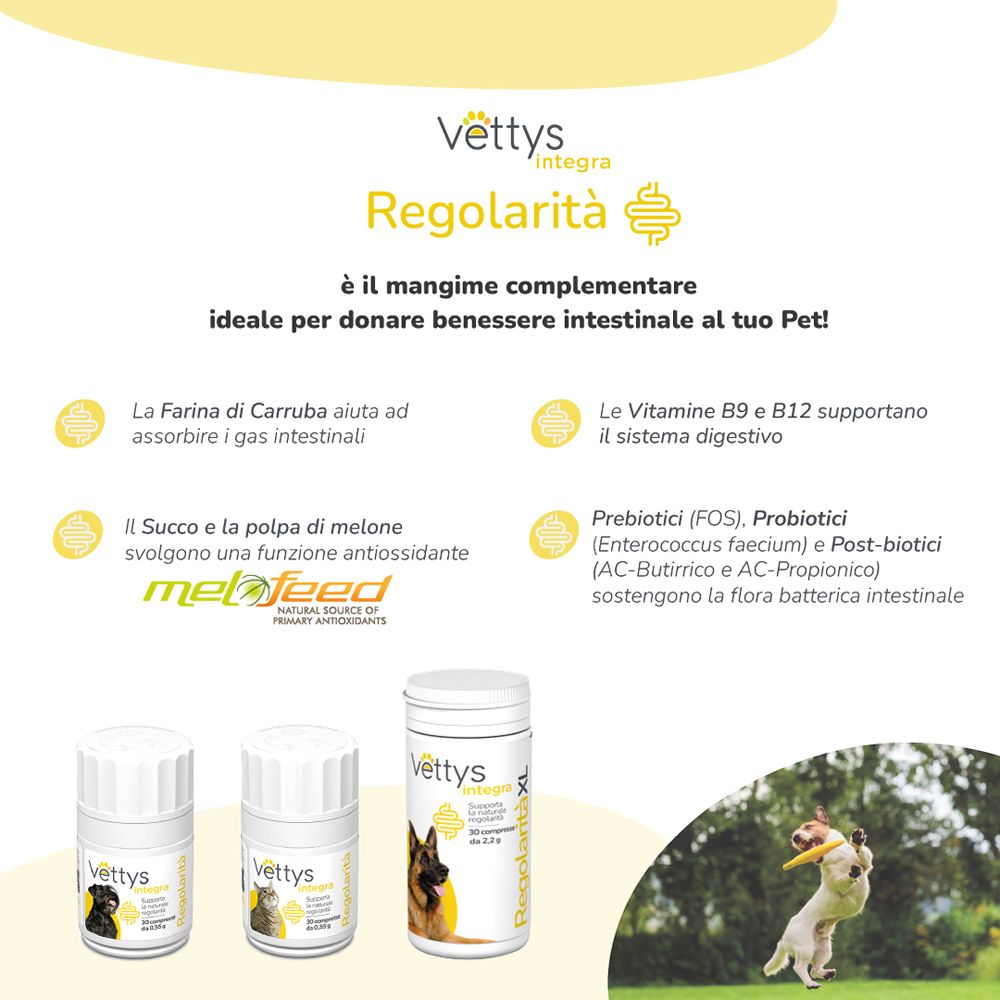 Werbetafel mit Produkt, Text und Illustrationen. Produktname: Vettys Integra Regolarità.