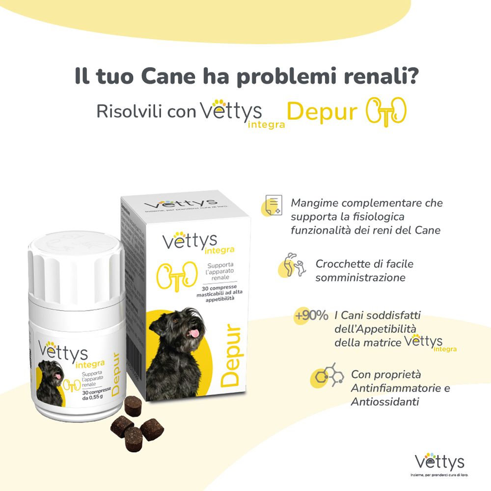 Werbebild mit Produkt und Text. Vettys Integra Depur. Text über Nierenprobleme bei Hunden und Vorteile des Produkts.