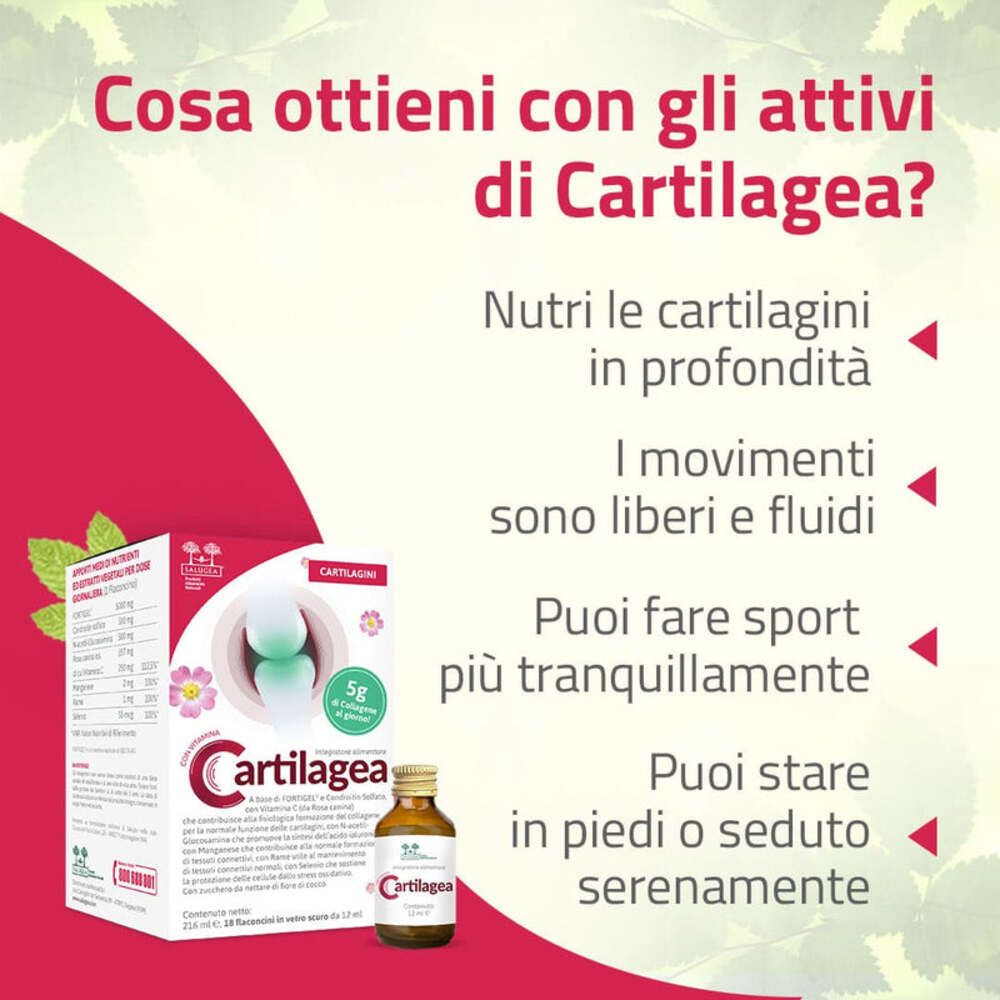 Texte sur les bienfaits de Cartilagea. Favorise les cartilages sains, la mobilité et le sport.
