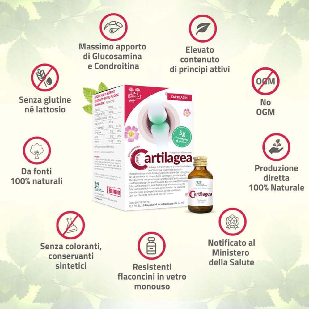 Emballage Cartilagea avec logos. Contient glucosamine, chondroïtine, ingrédients naturels, sans OGM.