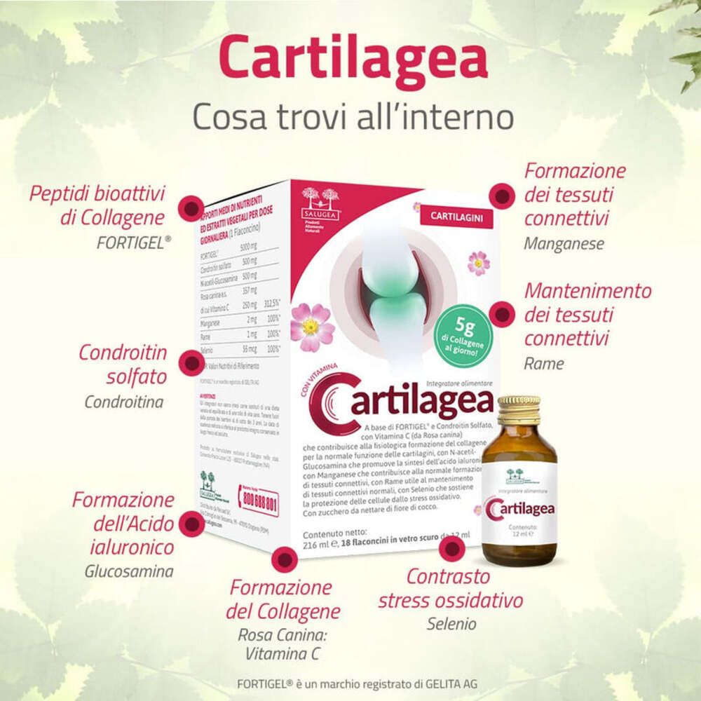 Emballage Cartilagea avec ingrédients. Contient collagène, acide hyaluronique, manganèse et sélénium.