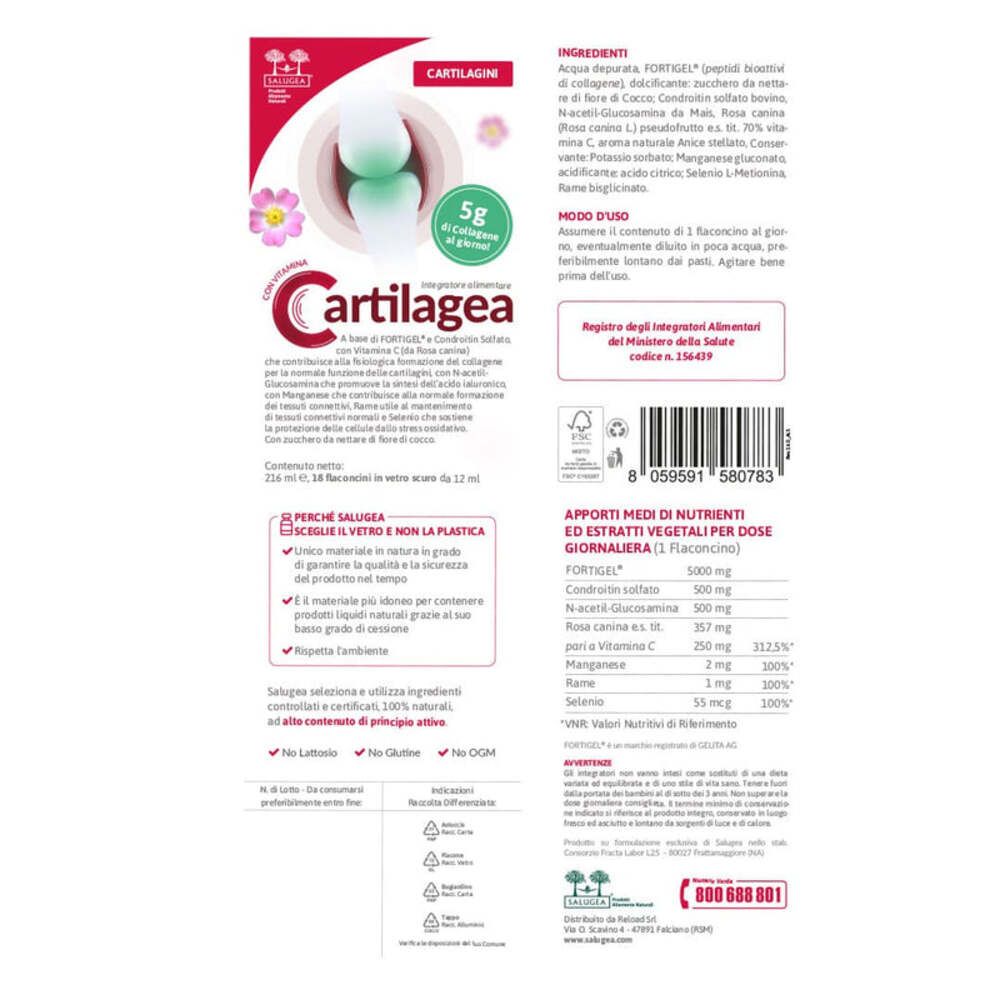 Dos de l'emballage Cartilagea. Contient ingrédients, mode d'emploi et informations nutritionnelles.