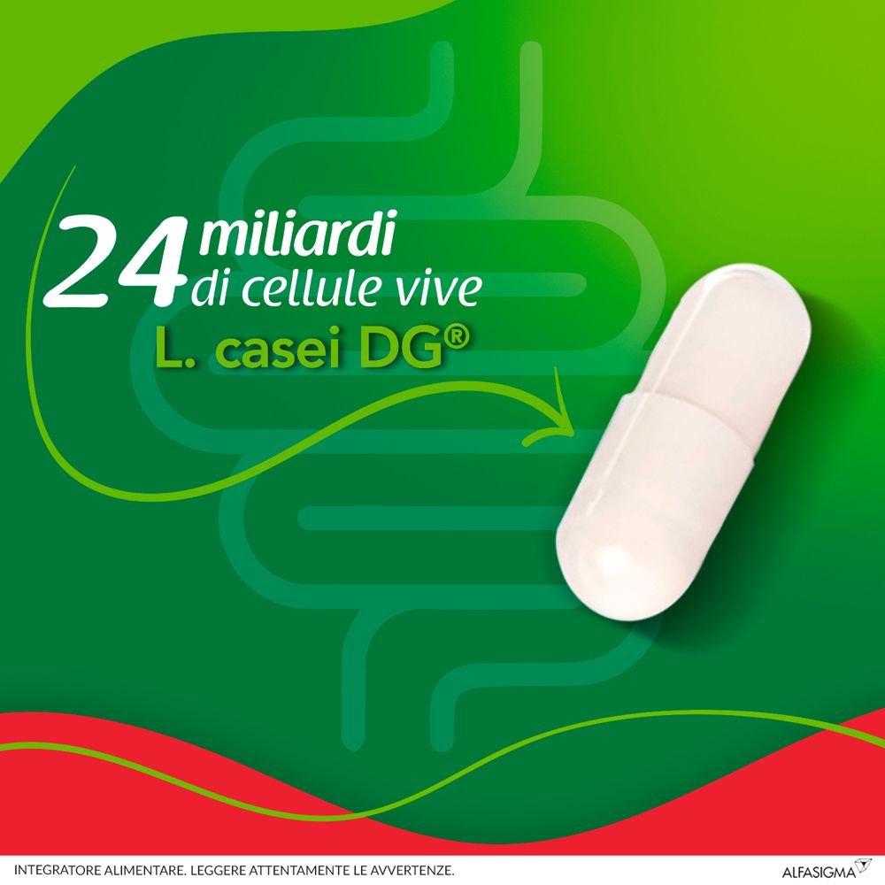 Gélule avec texte: 24 milliards de cellules vivantes, L. casei DG. Fond vert avec illustration d'intestin.