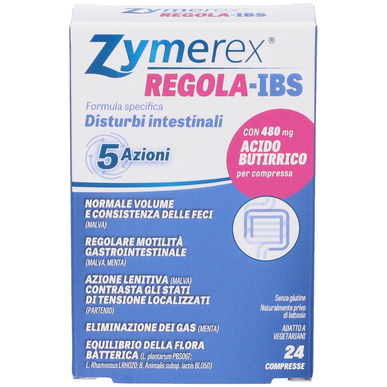Zymerex REGOLA-IBS-Verpackung. Blaue und weiße Schachtel mit Produktnamen und Inhaltsangaben. 24 Tabletten.